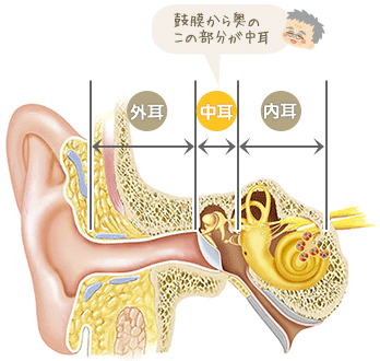 中耳炎ってなぁに ベビーヘルスケア ベビースマイル 赤ちゃんの健康情報