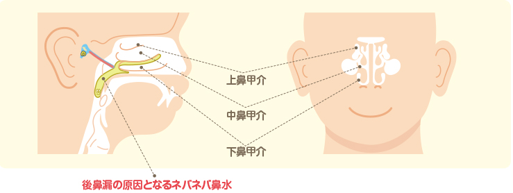 奥 感じ 鼻くそ 鼻 ある の が に 鼻の中のカサブタを取るとどうなるのか？