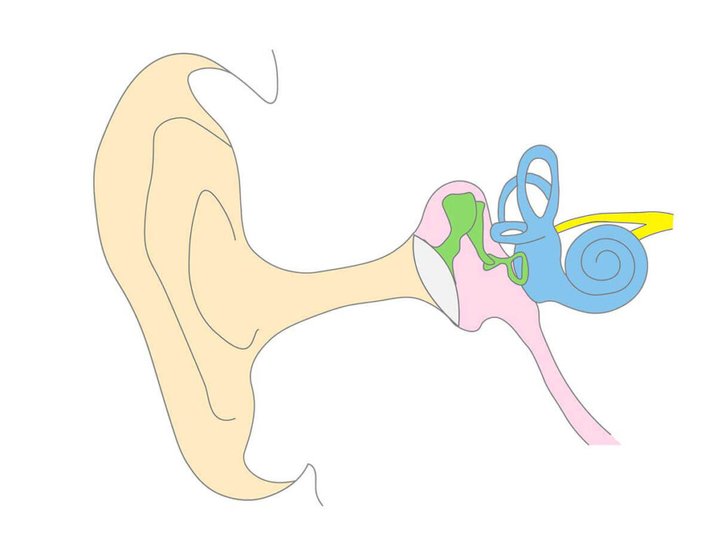 耳管開放性の概要